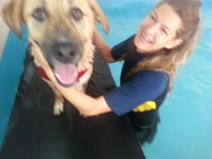 קימה והדס - המלצה